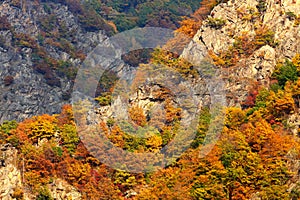 Autumn landscape in Mehedinti Mountains