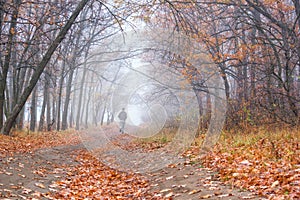 Autumn landscape - morning jog on dirt road in the autumn forest
