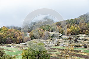 Autumn Landscape in mountain, Montenegro