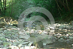 Autumn landscape with mountain river flowing among mossy stones through the colorful forest. Silky smooth stream of clear water.