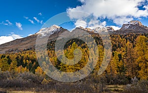 Autumn landscape with mountain in Val Martello, southtyrol, Italy.