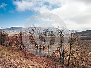 Autumn landscape in a mountainous area