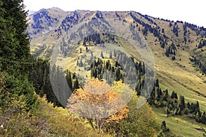 Autumn landscape in the mountains of Zailiyskiy alatau