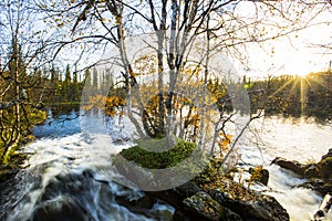 Autumn landscape in Muonio, Lapland, Northern Finland