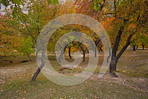 Autumn landscape in Nagar - Gilgit Baltistan