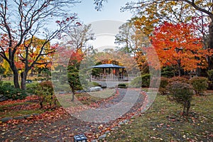 Autumn landscape at Nakajima Park, Sapporo City, Hokkaido, Japan