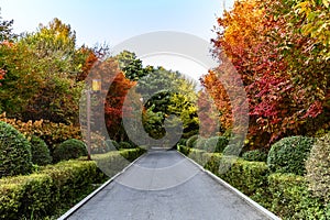 Autumn landscape of Nanhu Park, Changchun