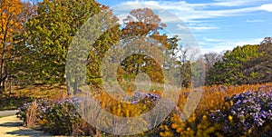 Autumn landscape in National Arboretum, Washington DC, USA.