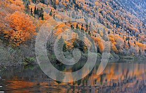 Autumn landscape in national Jacques Cartier