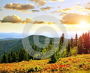 Autumn landscape in National park Bayerischer Wald at sunset, Germany. photo