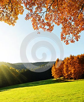 Autumn landscape in the National park Sumava.