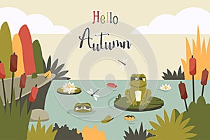 Autumn landscape. Nature background with frogs, foliage, reed, rocks, lotus, flying insects, wildlife. Cute toads siiting on leaf