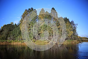 Autumn landscape in nature