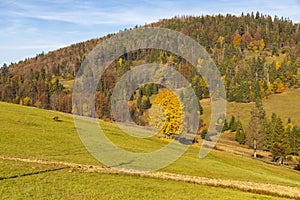 Podzimní krajina u sedla Beskyd na Slovensku