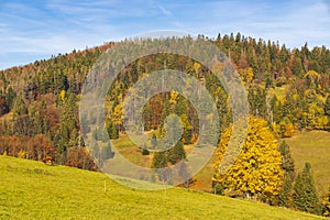 Autumn landscape near saddle Beskyd in Slovakia