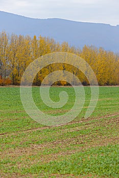 Autumn landscape near Sobrance, Slovakia