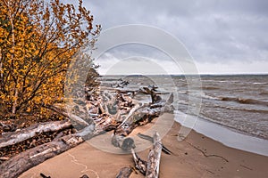 Autumn landscape. Ob Sea