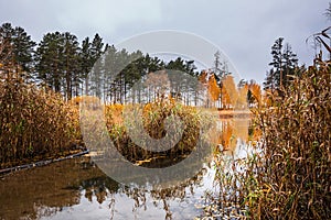 Autumn landscape. Ob Sea