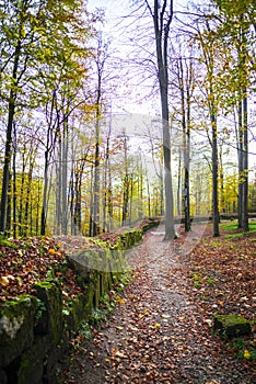 Autumn  landscape in the Orastie Mountains, Near Sarmisegetusa Regia, Romania