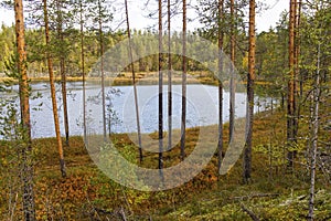 Autumn landscape on the Oster river in Karelia.