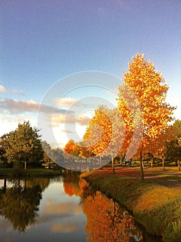 Autumn landscape, paisaje de otoÃ±o