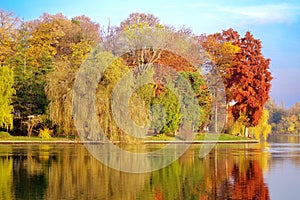 Autumn landscape. Colored trees in the park - Herastrau Park, landmark attraction in Bucharest, Romania