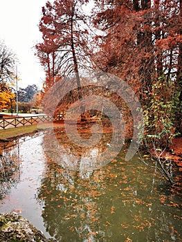 Autumn landscape in the park. Colorful trees in autumn