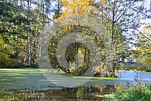 Autumn Landscape in the Park Halifax in Soltau, Lower Saxony