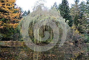 Autumn Landscape in the Park Halifax in Soltau, Lower Saxony