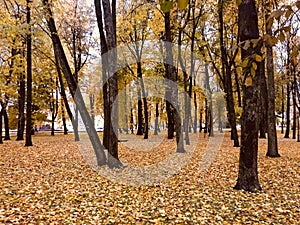 Autumn, landscape, Park, Kremlin, Veliky Novgorod