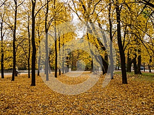 Autumn landscape in the park, Warsaw, Poland