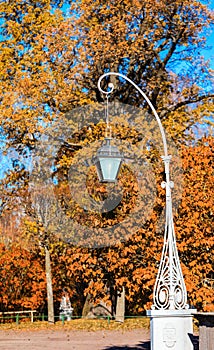 Autumn landscape in Pavlovsk