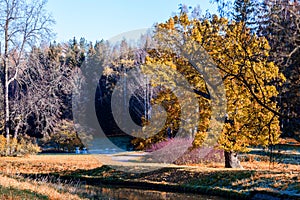 Autumn landscape in Pavlovsk