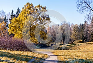 Autumn landscape in Pavlovsk