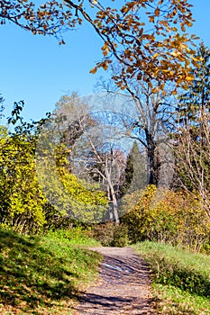 Autumn landscape in Pavlovsk