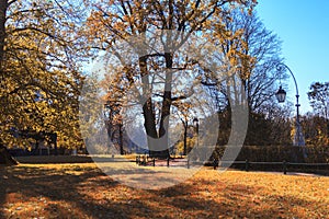 Autumn landscape in Pavlovsk