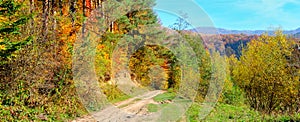 Autumn landscape with picturesque forest and old country road. Wide photo