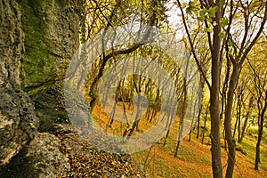 Autumn landscape with picturesque rocks