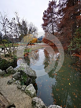 Autumn landscape with pond and fallen leaves in the park. Nature background
