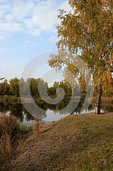 Autumn landscape: pond in the park