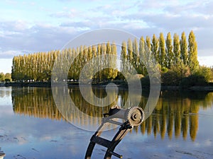 Autumn landscape and poplar reflection on the Cher river in Touraine