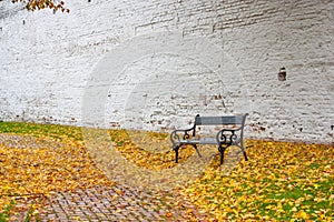 Autumn landscape in rainy day - view of the bench and walkway in park