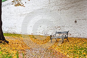 Autumn landscape in rainy day - view of the bench and walkway in park