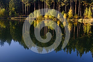 Autumn landscape with a reflection in the lake