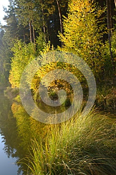 Autumn landscape with a reflection in the lake