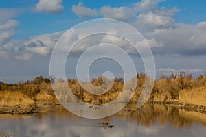 Autumn landscape on the river