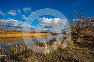 Autumn landscape on the river