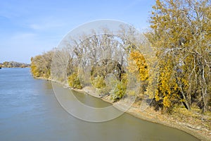 Autumn landscape. River bank with autumn trees. Poplars on the b
