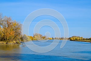 Autumn landscape. River bank with autumn trees. Poplars on the b