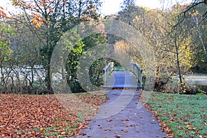 Autumn Landscape at the River Boehme in Walsrode, Lower Saxony